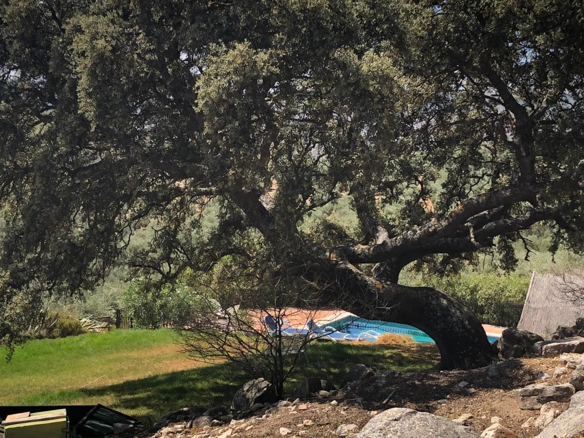 Finca El Almendrillo Iznájar Екстериор снимка